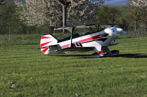 Pitts S1s 50%